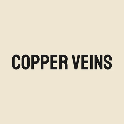 Copper Veins — rock band logo design