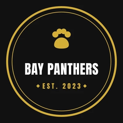 Bay Panthers — sports team logo design