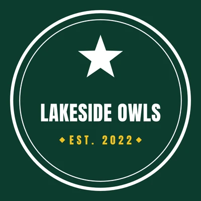 Lakeside Owls — sports team logo design